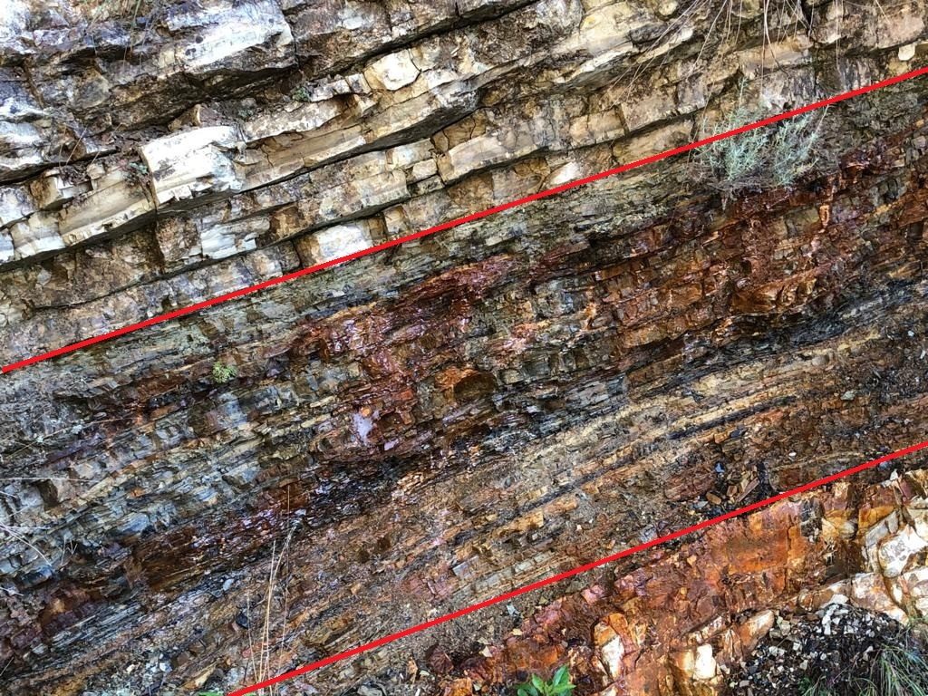 Il Livello Bonarelli nella gola